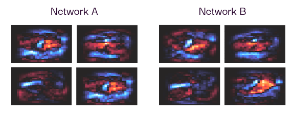 Figure 1: Representation of the similarities found in the sets of neurons' weights of 2 Feed-Forward Artificial Neural Networks trained independently.